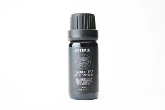Laurel leaf (Laurus Nobilis) essential oil